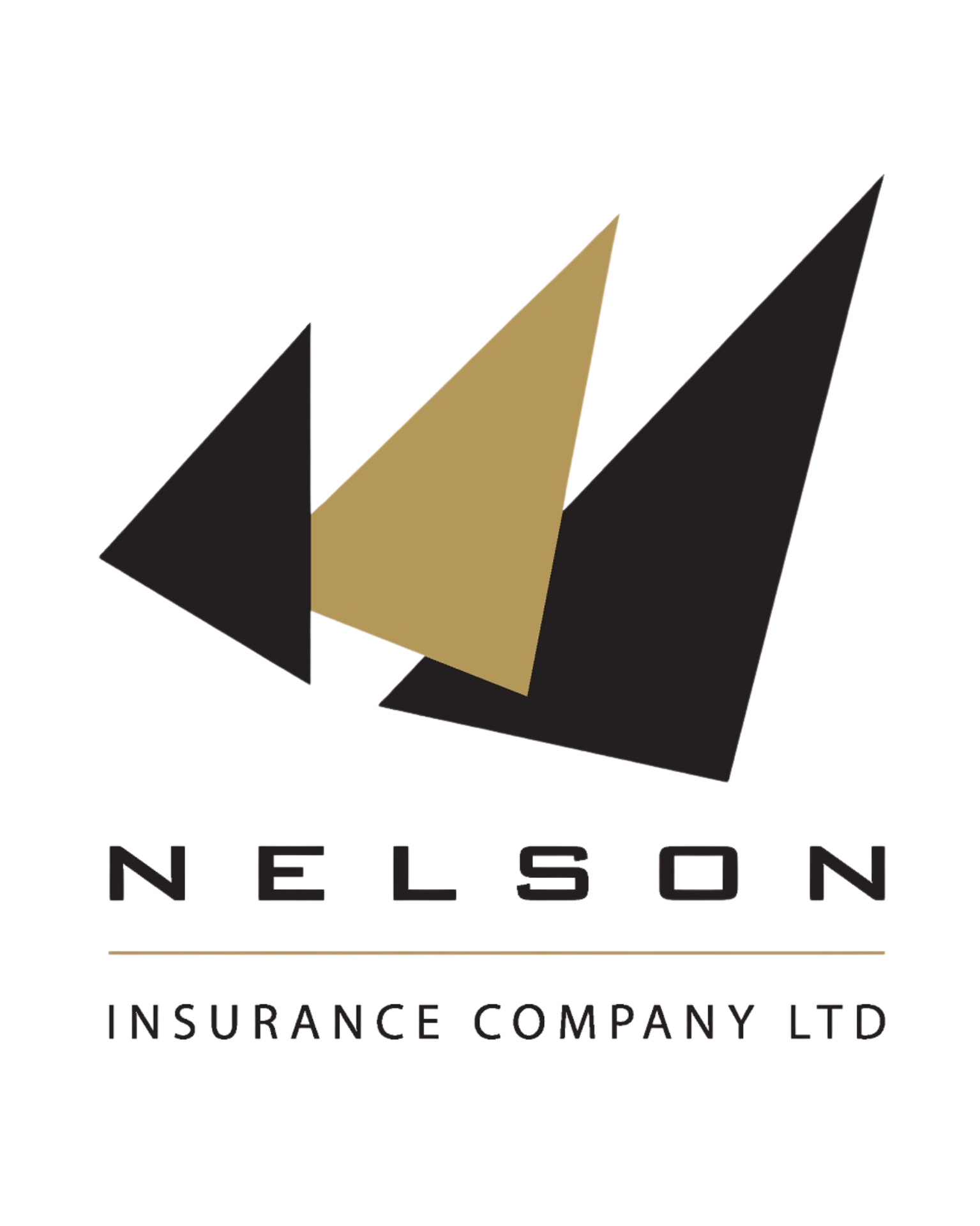 Nelson Insurance Company Ltd logo