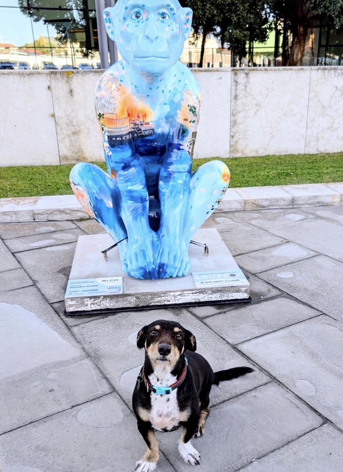A dog sitting in front of a blue Barbary Macaque sculpture