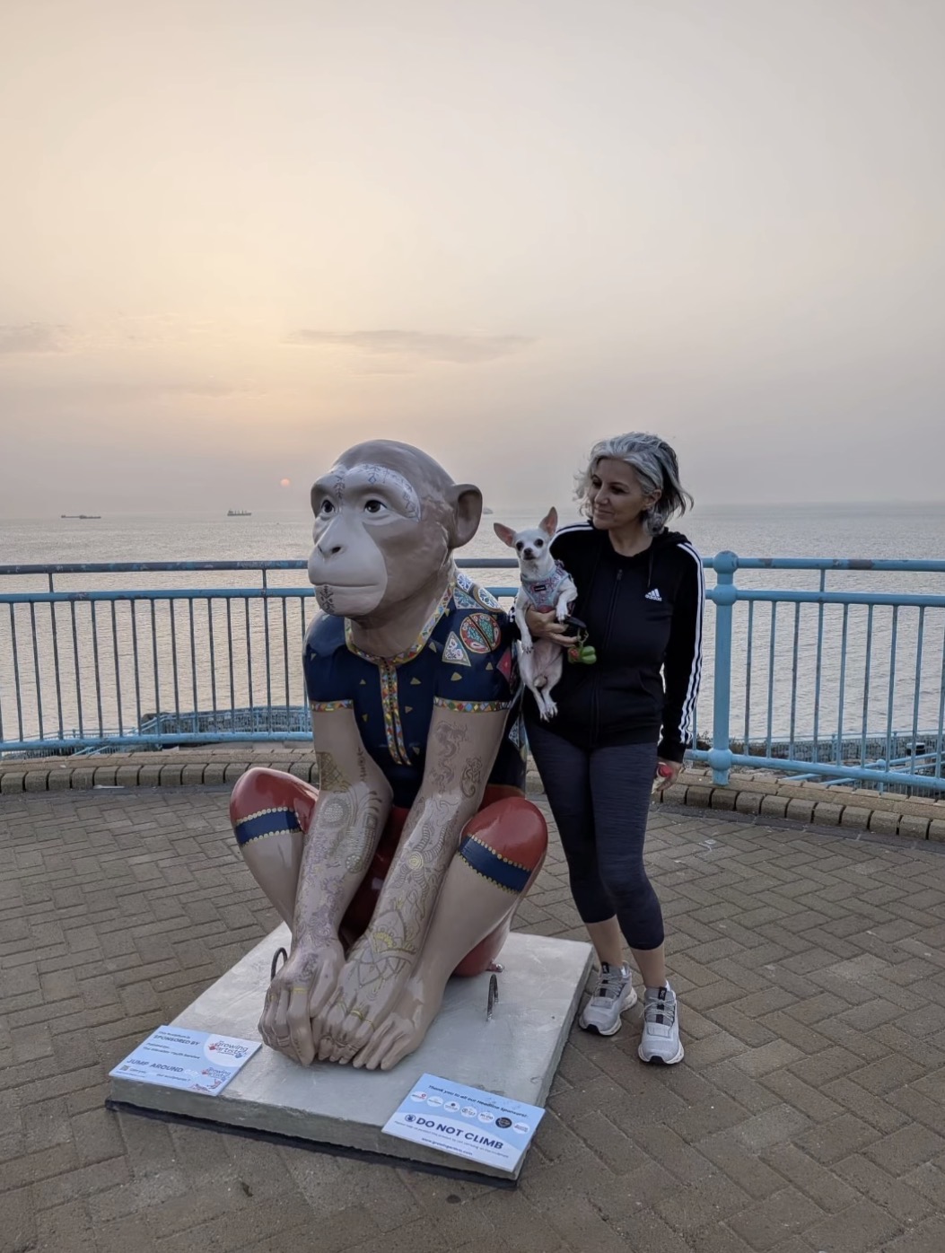 A walker with her chihuahua beside a Barbary Macaque sculpture at sunset